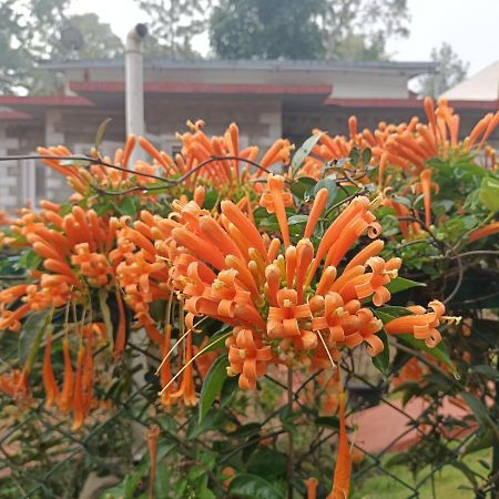 Coorg Kolamotte Hotel Gonikoppal Екстериор снимка