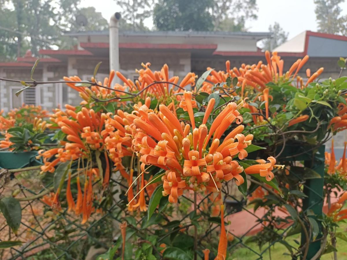 Coorg Kolamotte Hotel Gonikoppal Екстериор снимка