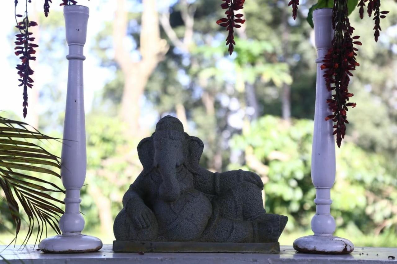 Coorg Kolamotte Hotel Gonikoppal Екстериор снимка